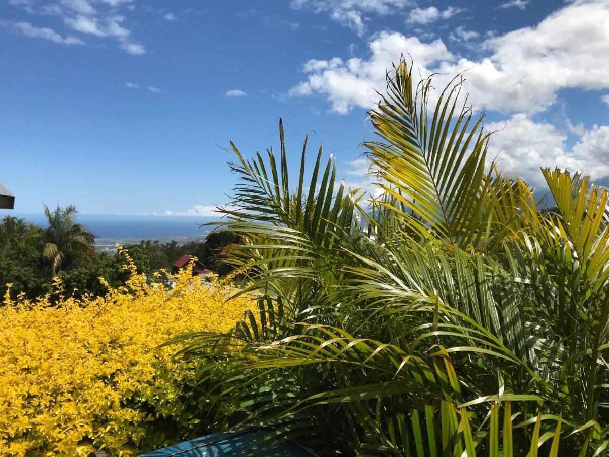 Plumeria Holidays 圣皮埃尔 外观 照片