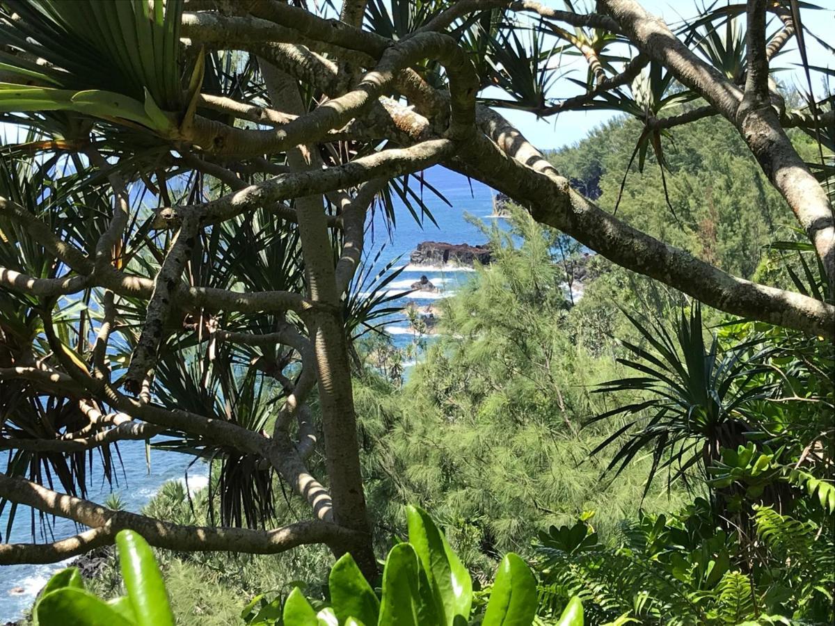 Plumeria Holidays 圣皮埃尔 外观 照片