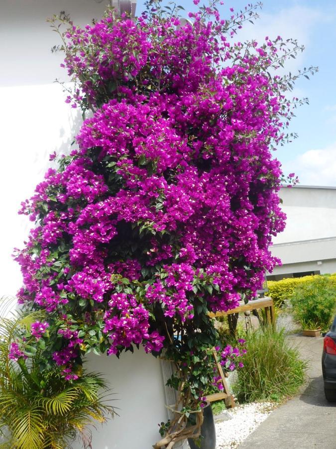 Plumeria Holidays 圣皮埃尔 外观 照片